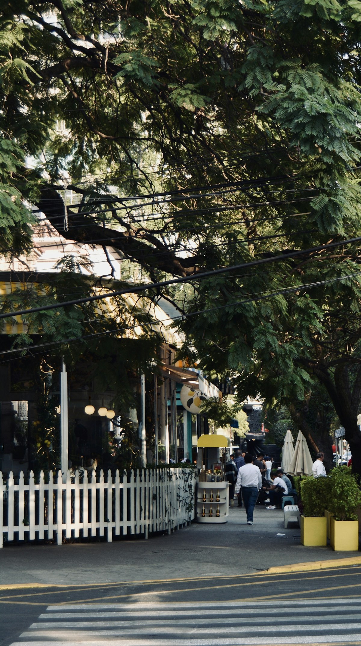 Is Polanco Safe? An Honest Guide for First-Time Visitors to Mexico City